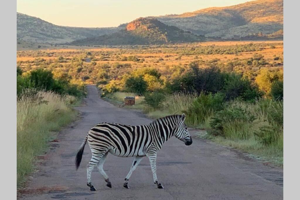 Rhino House With 3 Bedrooms Next To Pilanesberg And Sun City Mogwase Eksteriør bilde
