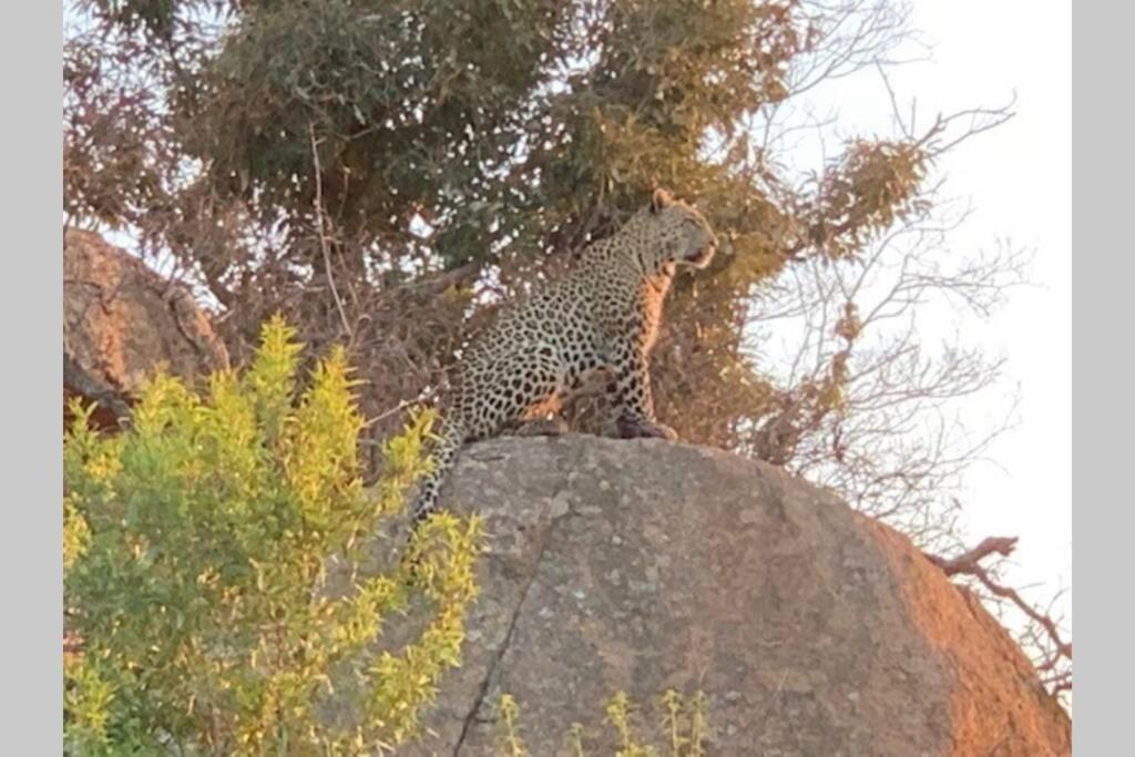 Rhino House With 3 Bedrooms Next To Pilanesberg And Sun City Mogwase Eksteriør bilde